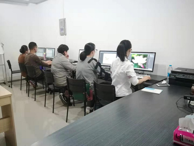 电商产业园 技术学习与职业发展的理想平台