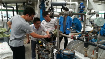 眉山市久鼎安全技术咨询公司积极配合落实全市安全生产工作系统检查